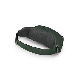 Osprey Daylite Waist Green Belt/Green Canopy Thumbnail Image 2